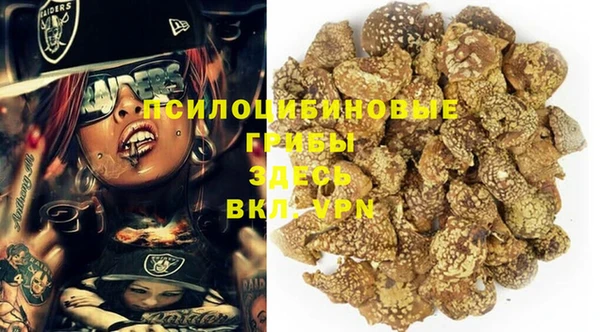 PSILOCYBIN Беломорск